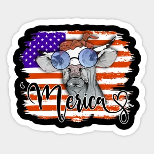 American Heifer Sticker